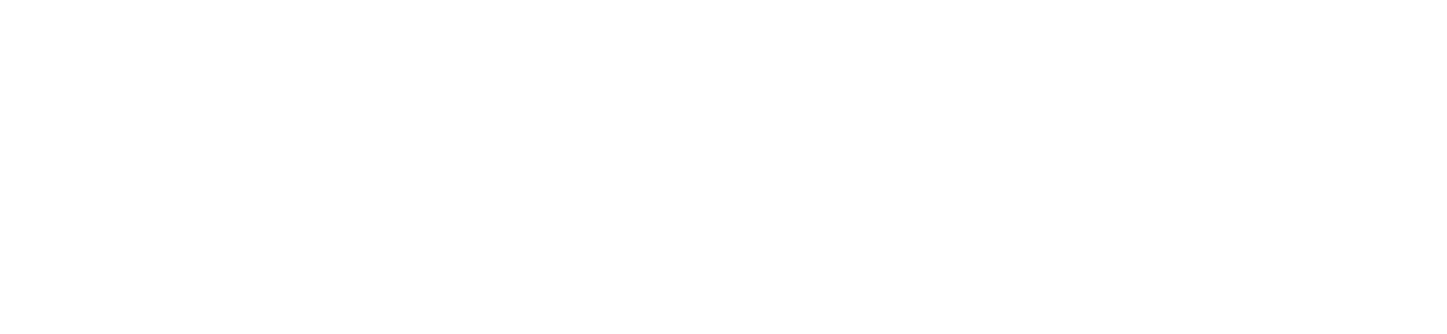 Più Siamo Più Contiamo
